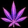 maboi420
