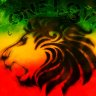 DjVishal14