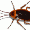 RoachKevin