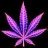 maboi420